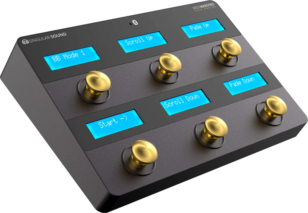 MIDI MAESTRO GOLD CONTROL PEDALS