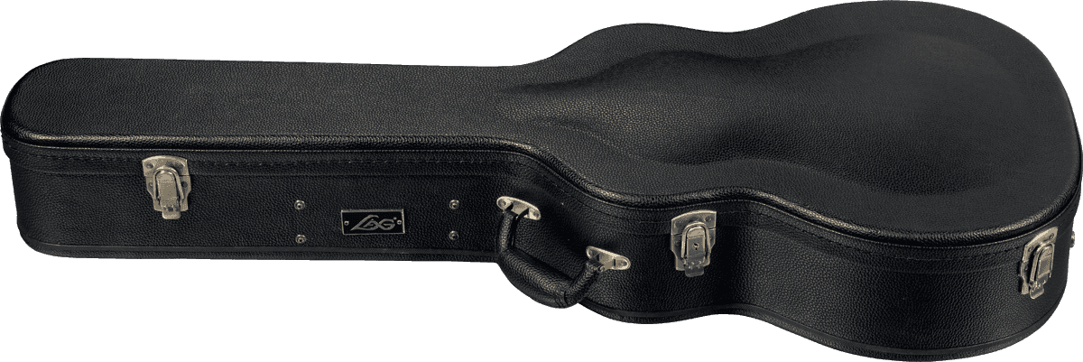 100A Auditorium Case
