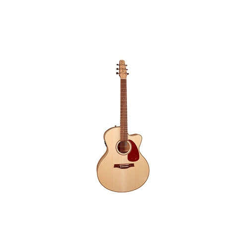 Performer Mj Cw Flame Maple Presys Ii