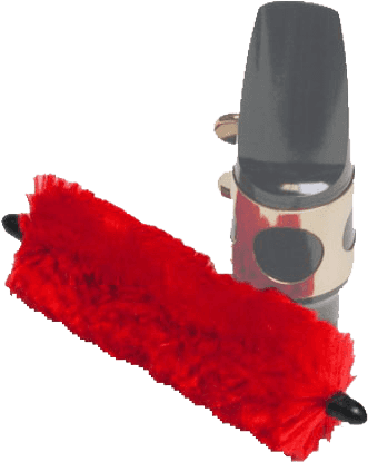 Mouthpiece Swab