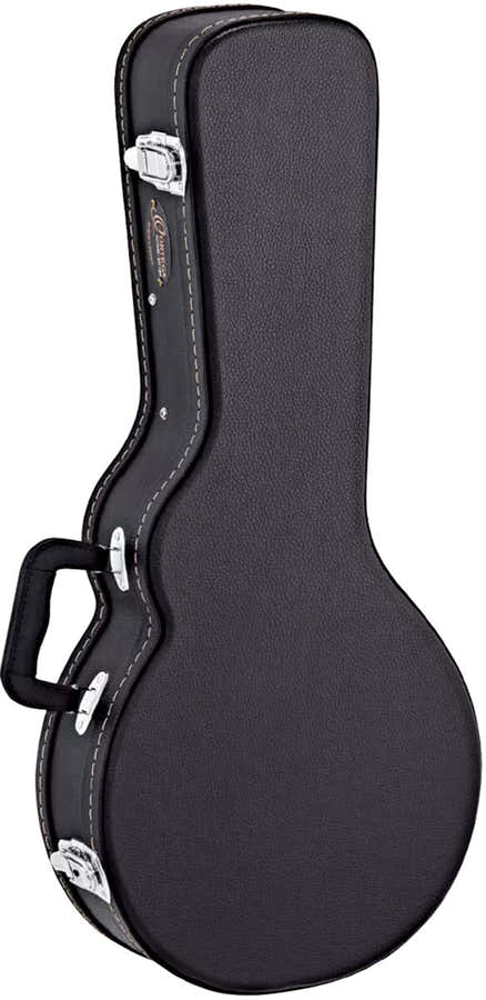 Mandolin Case