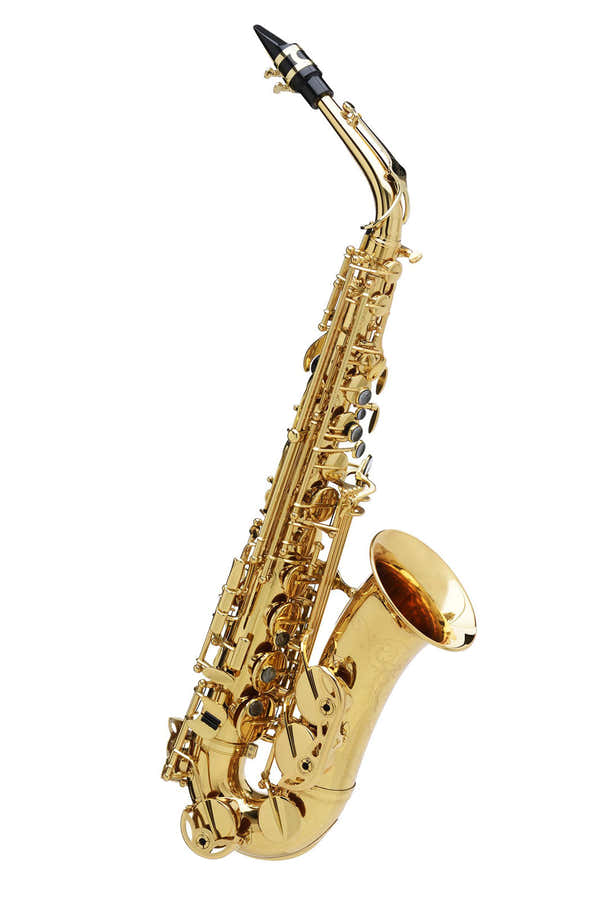 BC2525-8-0 SENZO - LACQUERED