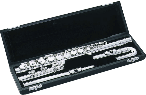 TFCAU CASE - ALTO FLUTE + 2 HEADS