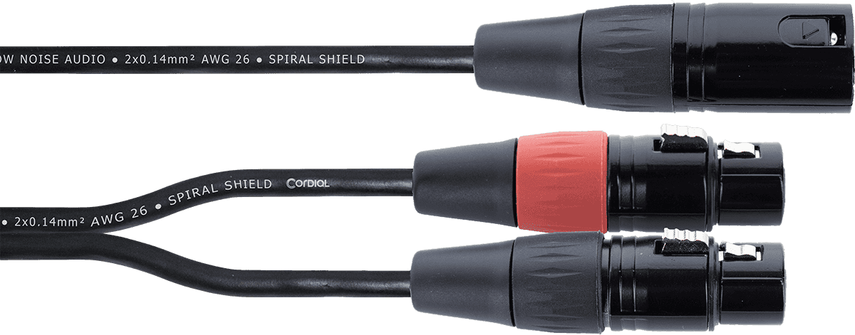 Y Cable Male XLR / 2 Female XLR 30 CM