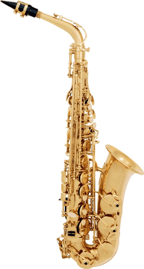ALTO SAXOPHONE BEGINNER VARNISHED A300