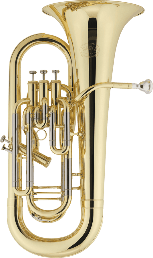 JEP1020