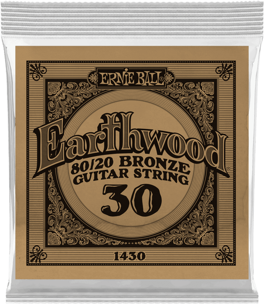 Ernie Ball .030 EARTHWOOD 80/20 BRONZE ACOUSTIC GUITAR STRINGS