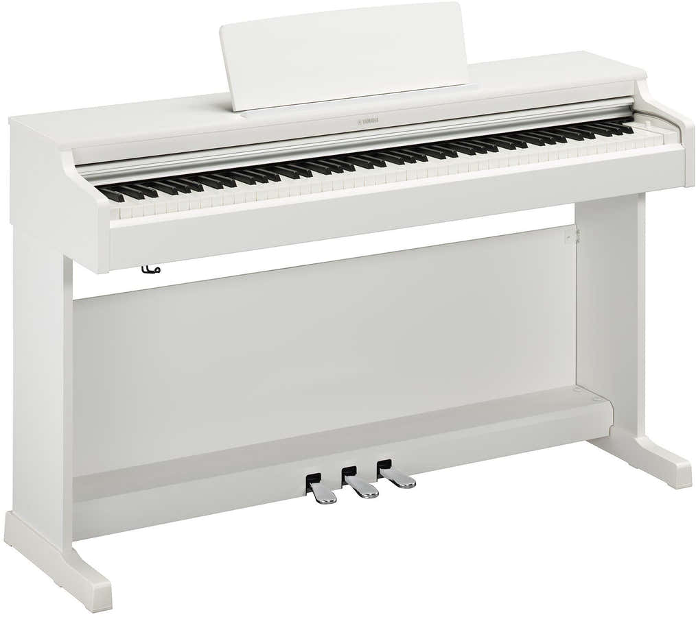 Arius YDP-165 White