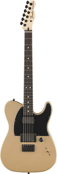Fender Telecaster Jim Root Ebo Shoreline Gold