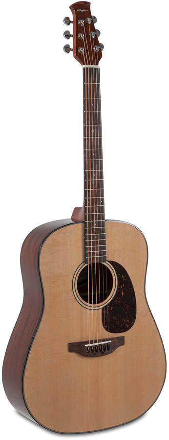Acoustic Guitar Wood Classics Aad96-4 Natural Gloss Natural Highgloss