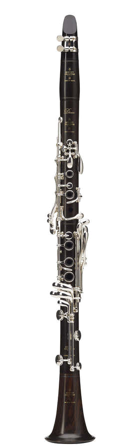 Divine Bb (19 Keys) - BC1160L-2-0