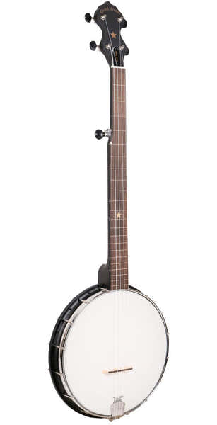 Gold Tone Banjo 5 Open Back Nylgut Fretless