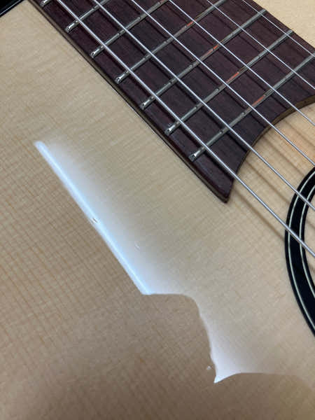 SwingLâg 200 Small Soundhole Spruce And Rosewood With Gigbag - B Stock