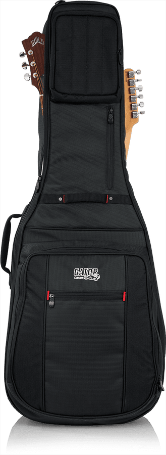 Electric + Folk Double Gigbag - ProGo