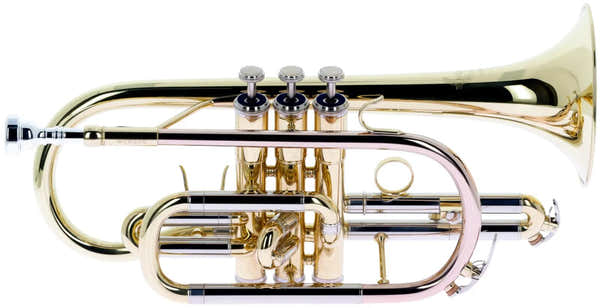 WCR200 - Si B Varnished