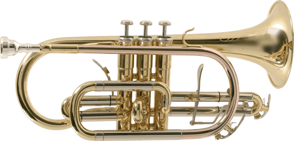 CO870-l