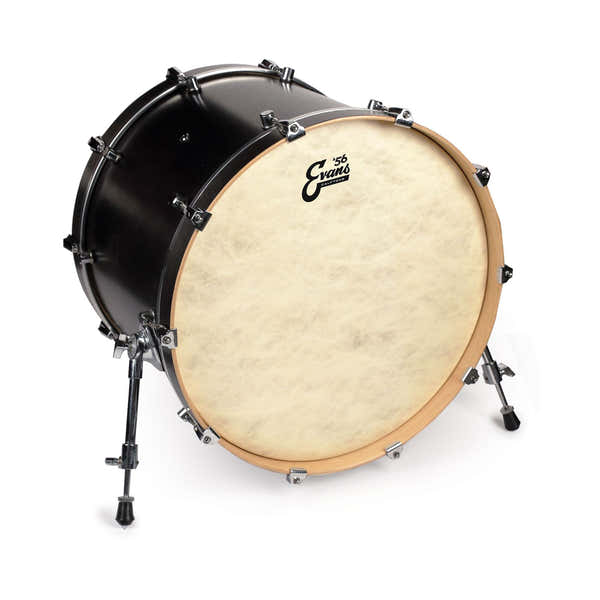 Evans BD20CT - CALFTONE 20