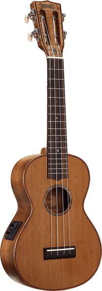 Concert Natural Electro + Gig Bag