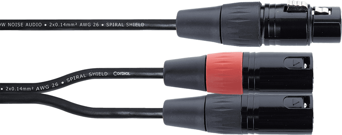 Y Cable Female XLR / 2 Male XLR 30 CM