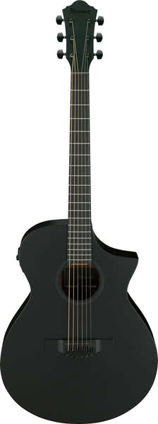 AEWC621-Bot Black Out