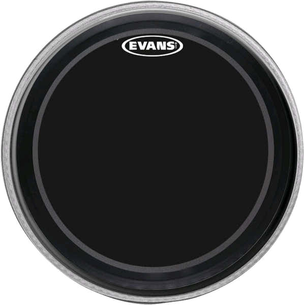 Evans ONYX 20