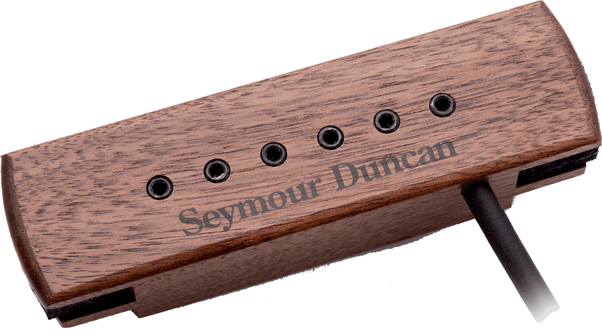 SA-3XL-wln - Woody - Hum-canceling Plots Walnut