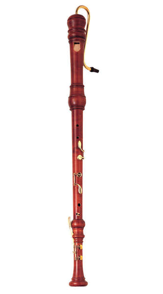 YRB61SP Bass - Maple (Baroque)