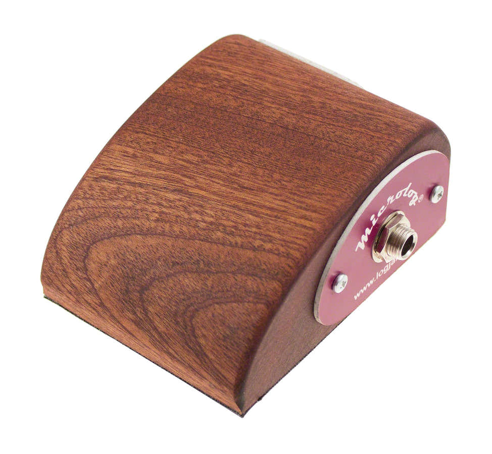Microlog 2 Analog Stomp Box Sapele