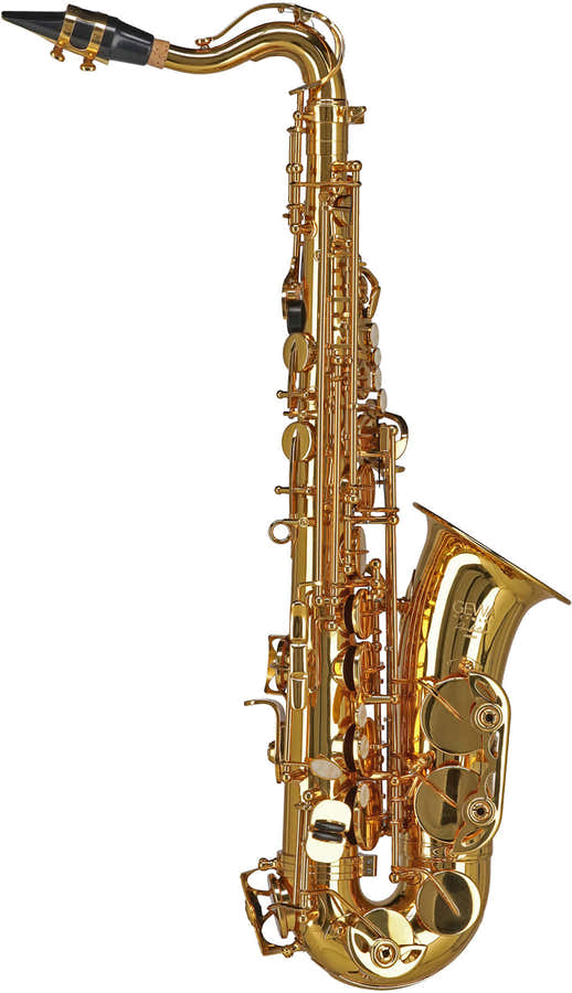 Ambition AS655 Eb Alto Saxhorn Lacquered (Children)