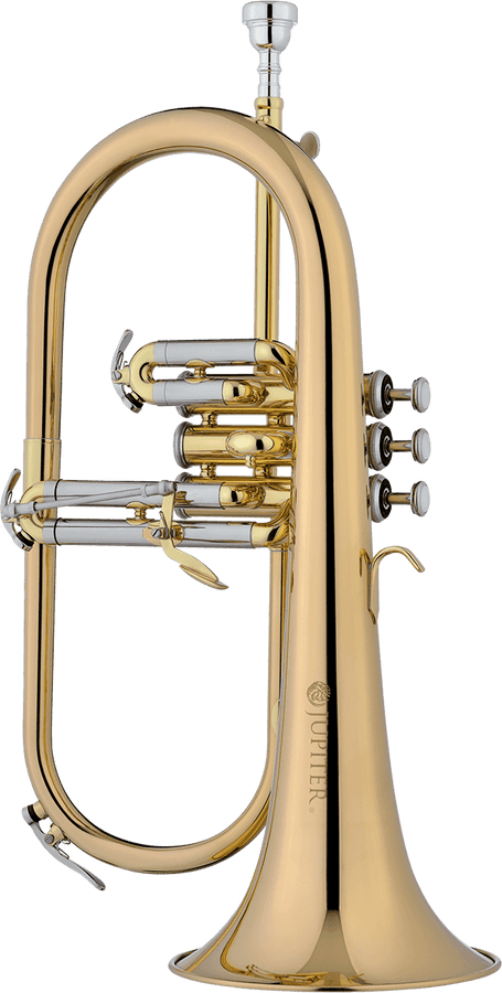 1100RQ - VARNISHED BB + HORN PINK COPPER
