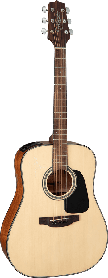 GLD12ENS 12 Dreadnought Spruce-Mahogany