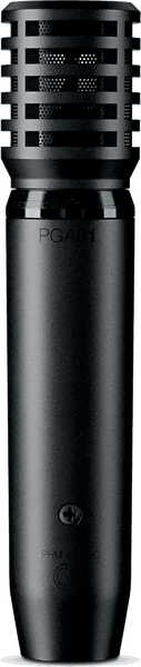 PGA81
