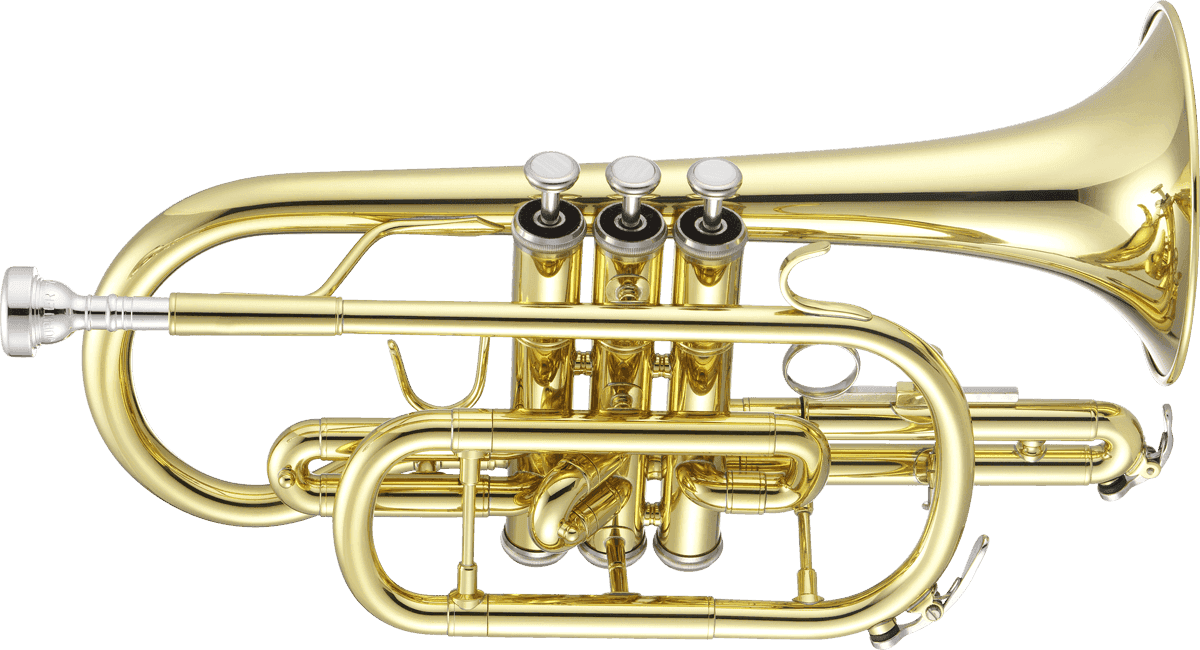 JCR700Q - Bb Lacquered (Backpack)