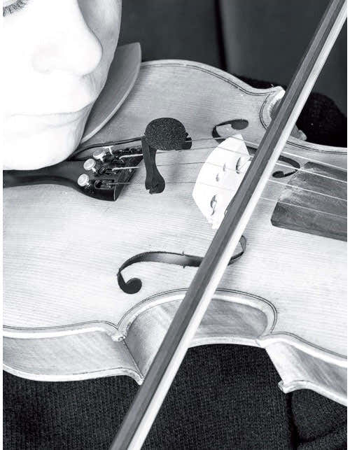 VL21C Lanen Violin - Viola