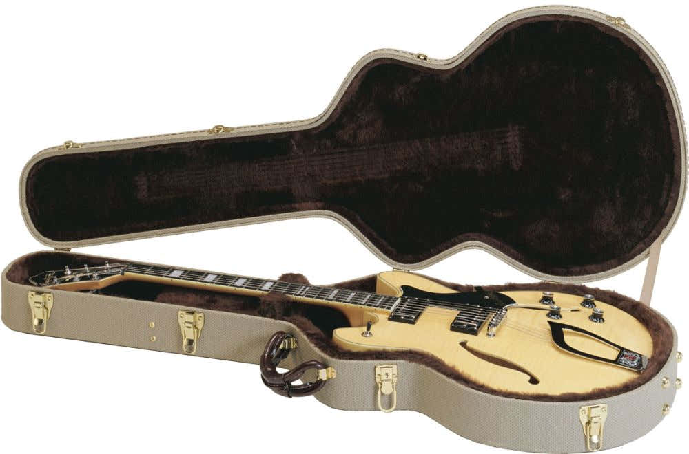 C55 Viking Guitar Case