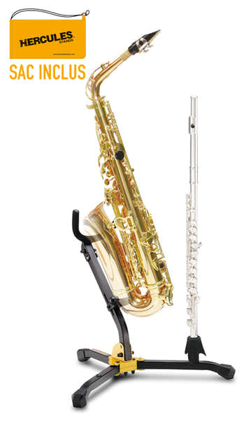 Double Alto/Tenor Saxophone & Flute Stand