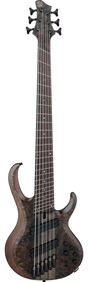 BTB806MS-TGF Transparent Gray Flat Bass Workshop