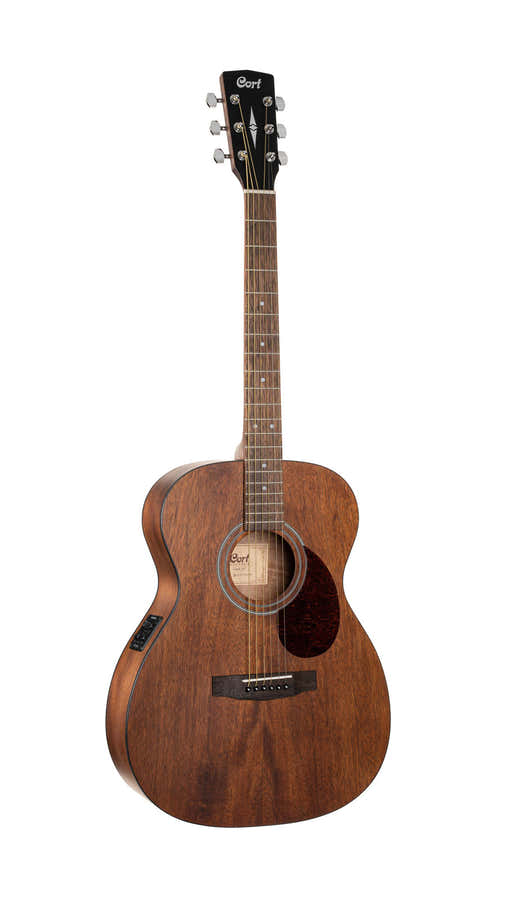 Guitar Luce L60MF Natural Fishman
