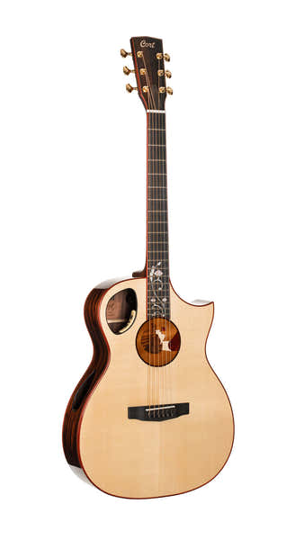 Guitar Roselyn Redux Natural Gloss