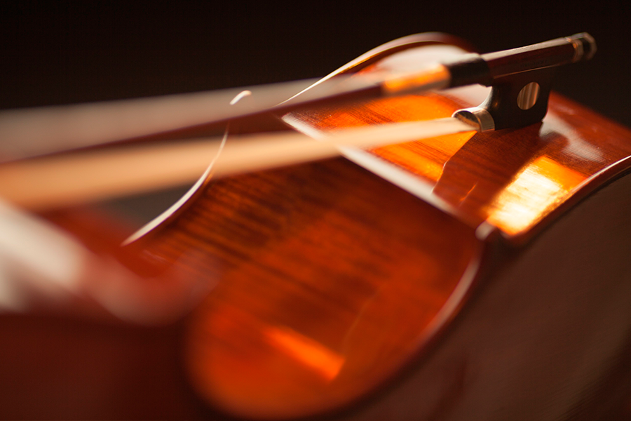 double bass accessories