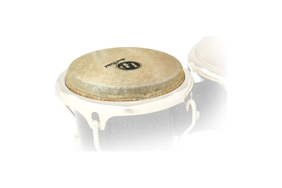 bongo heads
