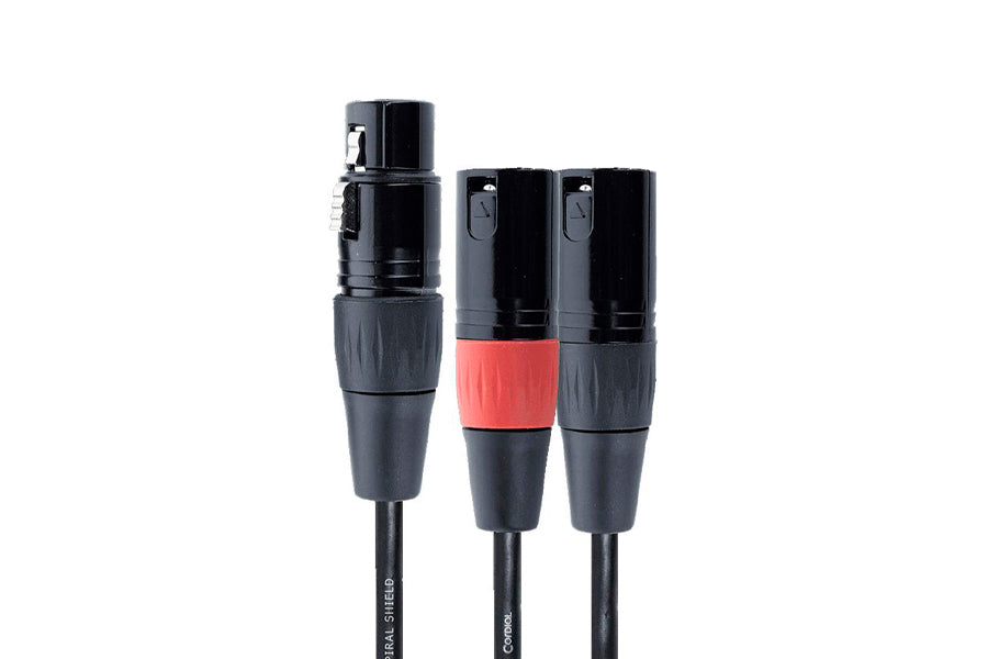 male dual xlr
