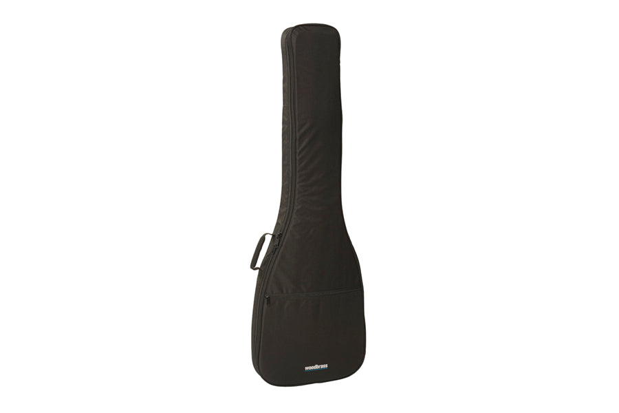 bass cases and bags