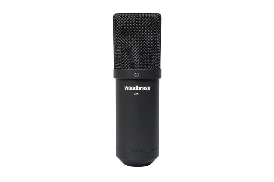large diaphragm microphones