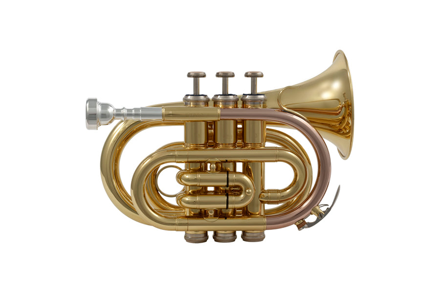 piccolo and pocket trumpets