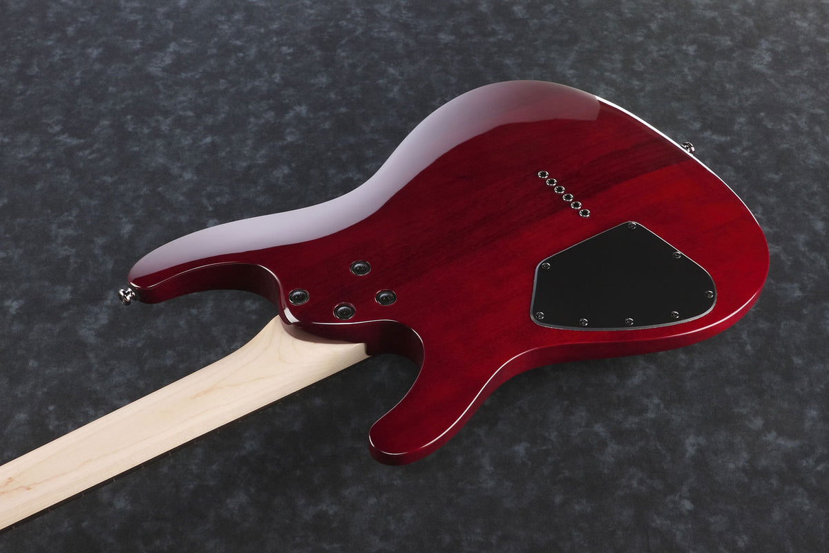 S521-BBS Blackberry Sunburst Sabre