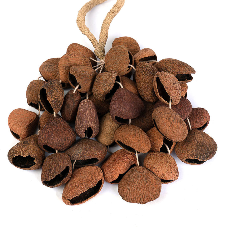 SESDS3 Seed Shaker 4-row Pangi