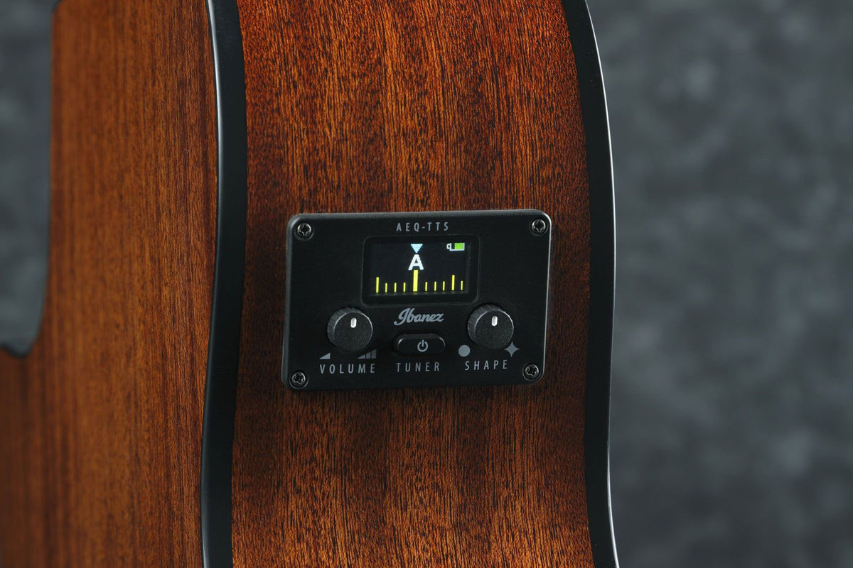 AEG50-IBH Indigo Blue Burst