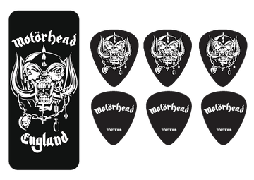 6 x Warpig Medium Tin