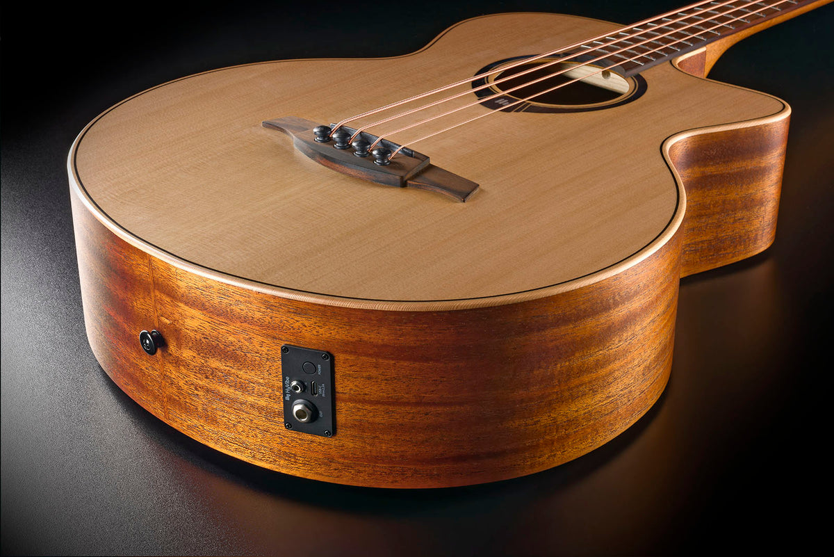 HyVibe 2 Series 10 Acoustic Bass CW